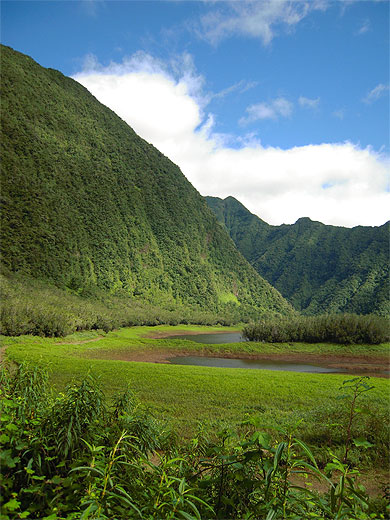 Grand-Etang Grand-Etang