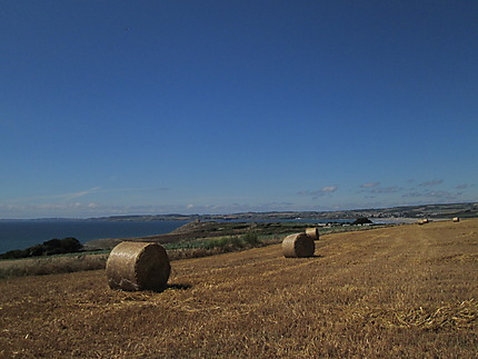 Moisson