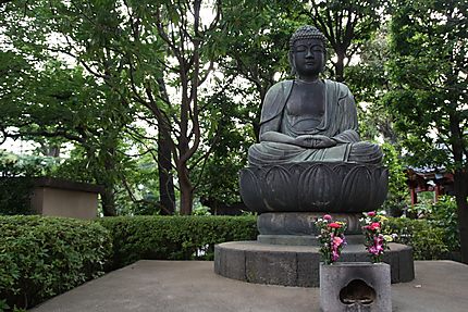 Jardin de Senso-Ji