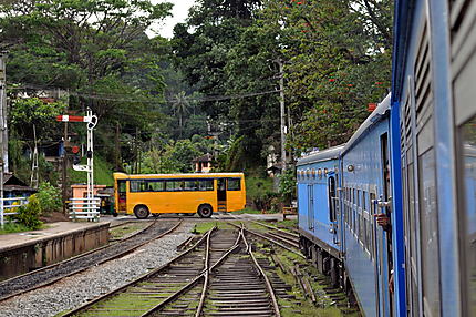 Transports au SRI LANKA