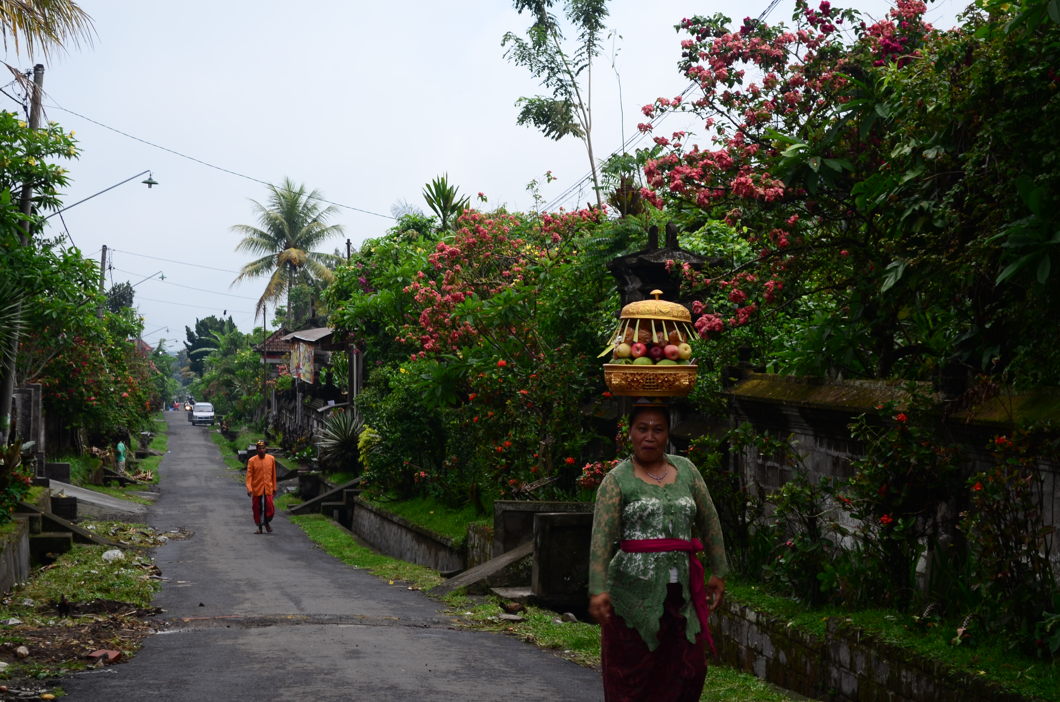 Panier de fruit pour une c r monie Gunung Kawi 