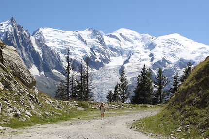 Chamonix - Vue sur le massif du Mont Blanc 