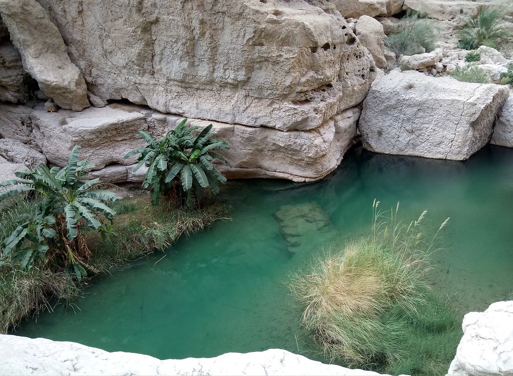 Wadi Shab à Oman, après 20 minutes de marche