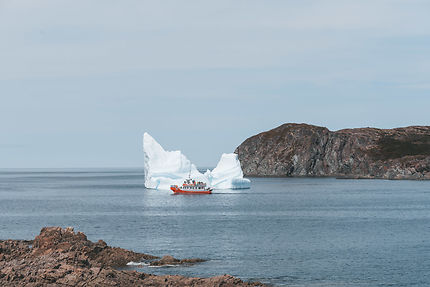 Excursion au pied d’un iceberg à Twillingate