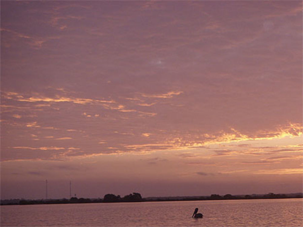 Lever du soleil au Parc des Flamands Roses,  Boca de Camarones