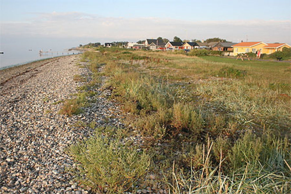 Le littoral de Brenderup