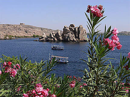 Vue pittoresque sur le Nil