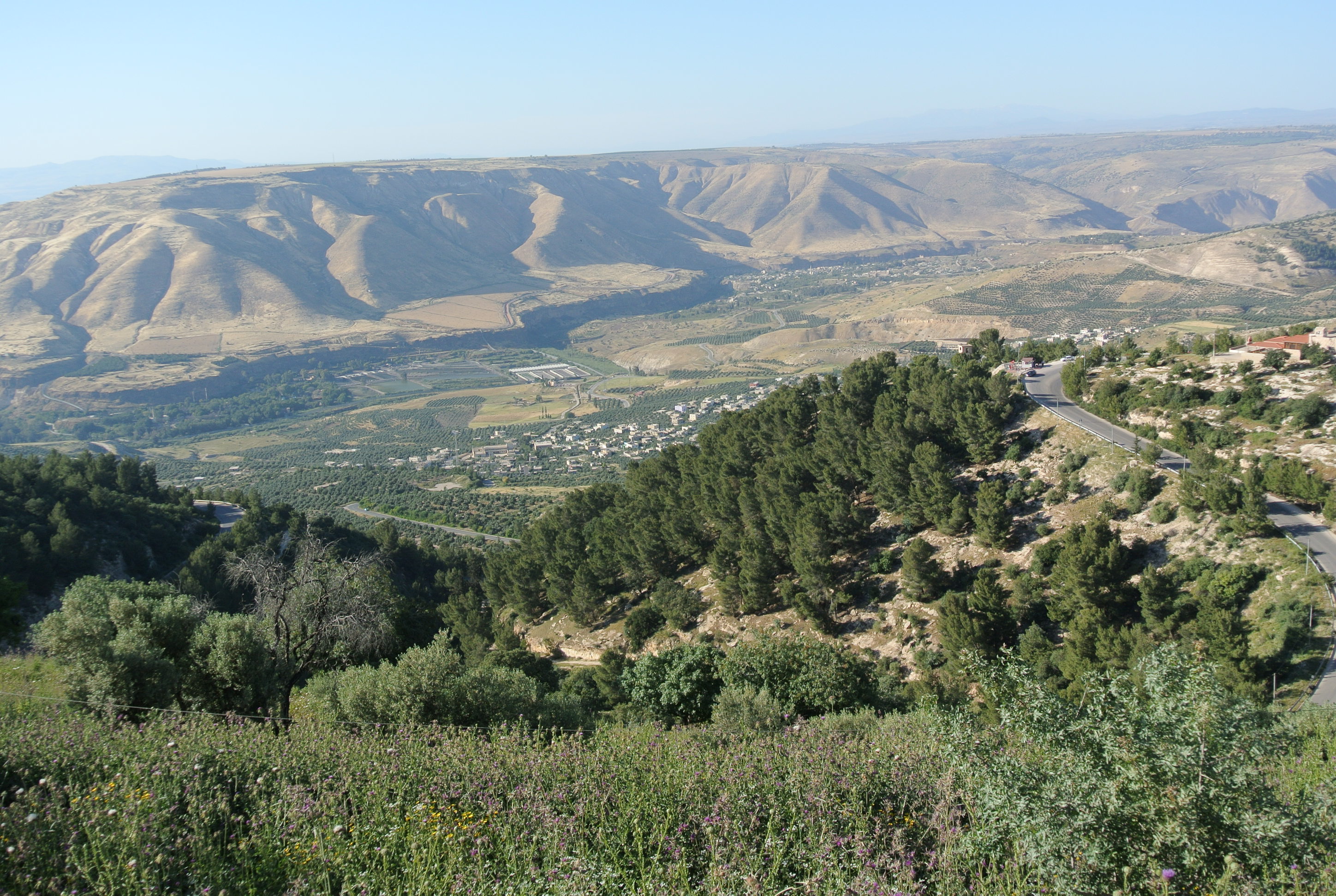 Le plateau du Golan Le plateau du Golan