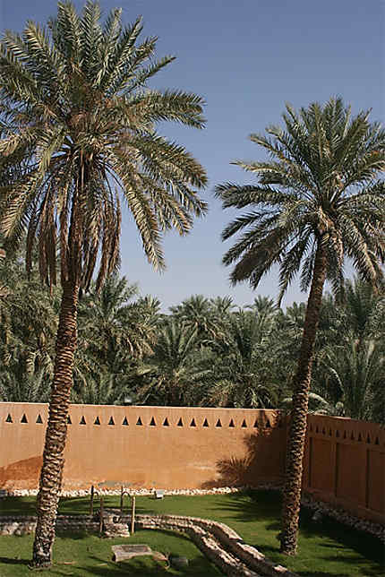 Palmiers dans l'enceinte du Palace Museum