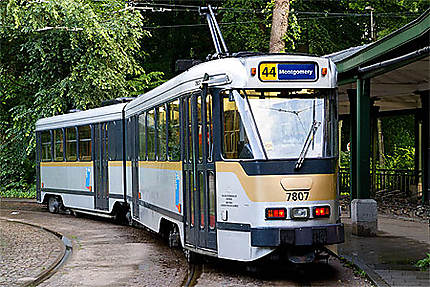 Bruxelles  Tram 44 Montgomery