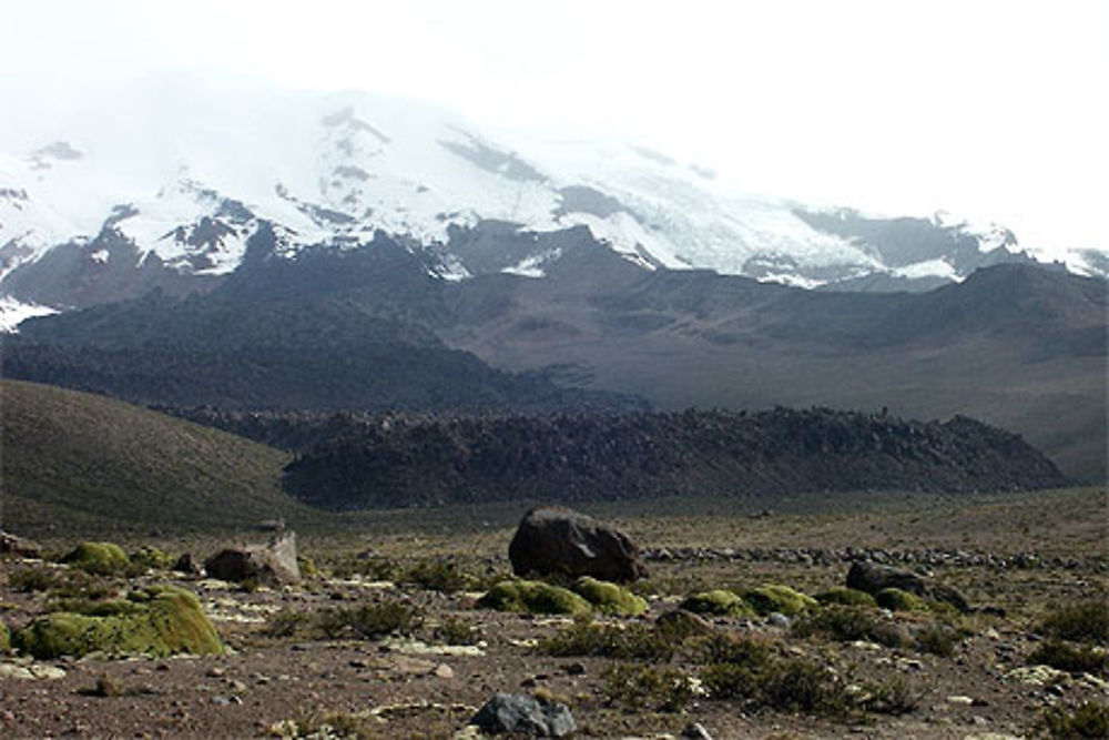 Nevées du Coropuna