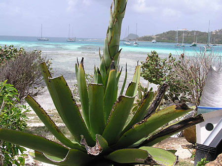 Paysage Paysage