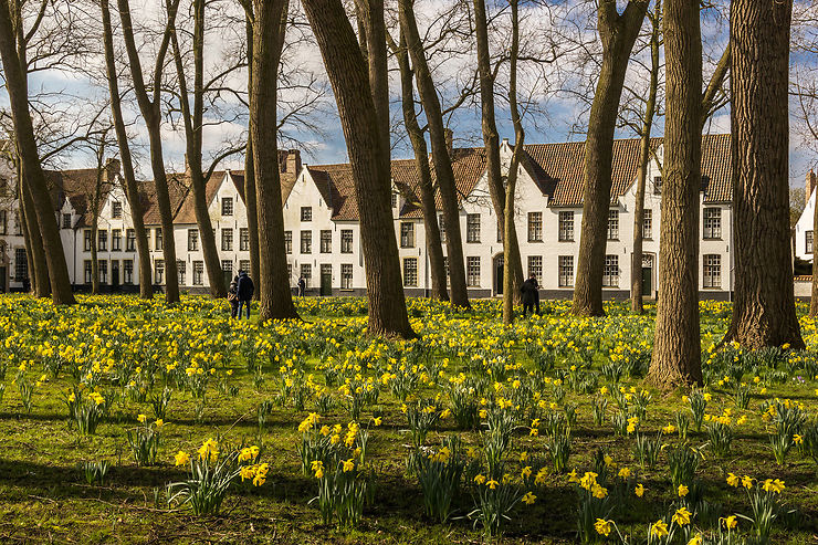 Béguinage et Maisons-Dieu : des « logements sociaux » séculaires et singuliers