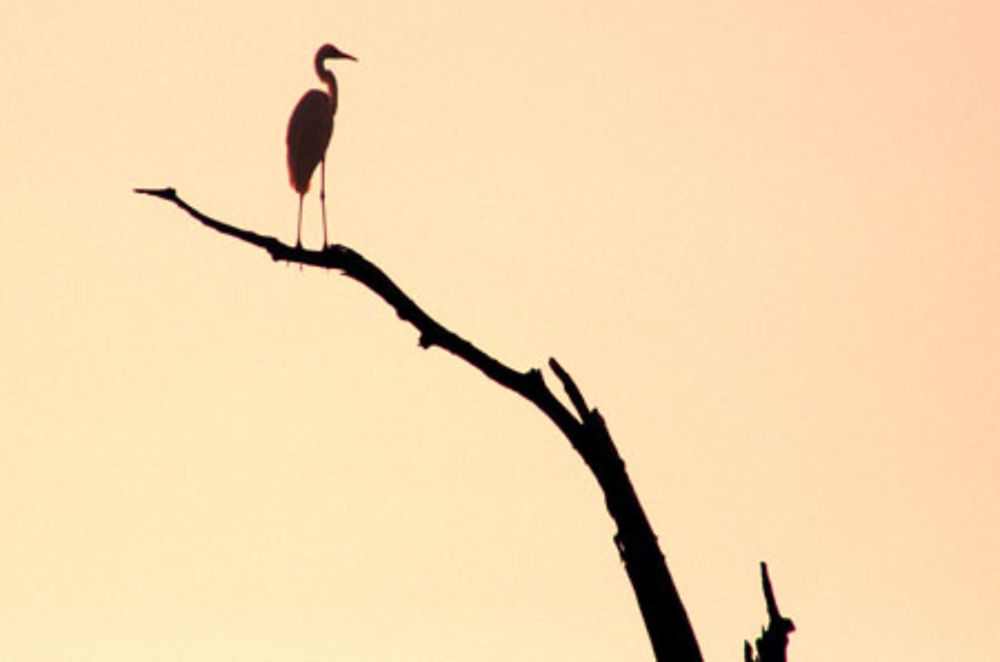 Lake Kariba