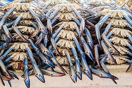 Marché aux poissons - Les crabes