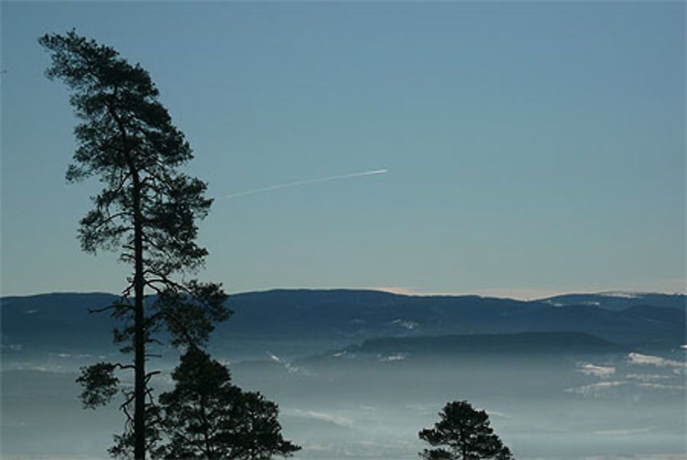 Vue sur la crête des Vosges en hiver