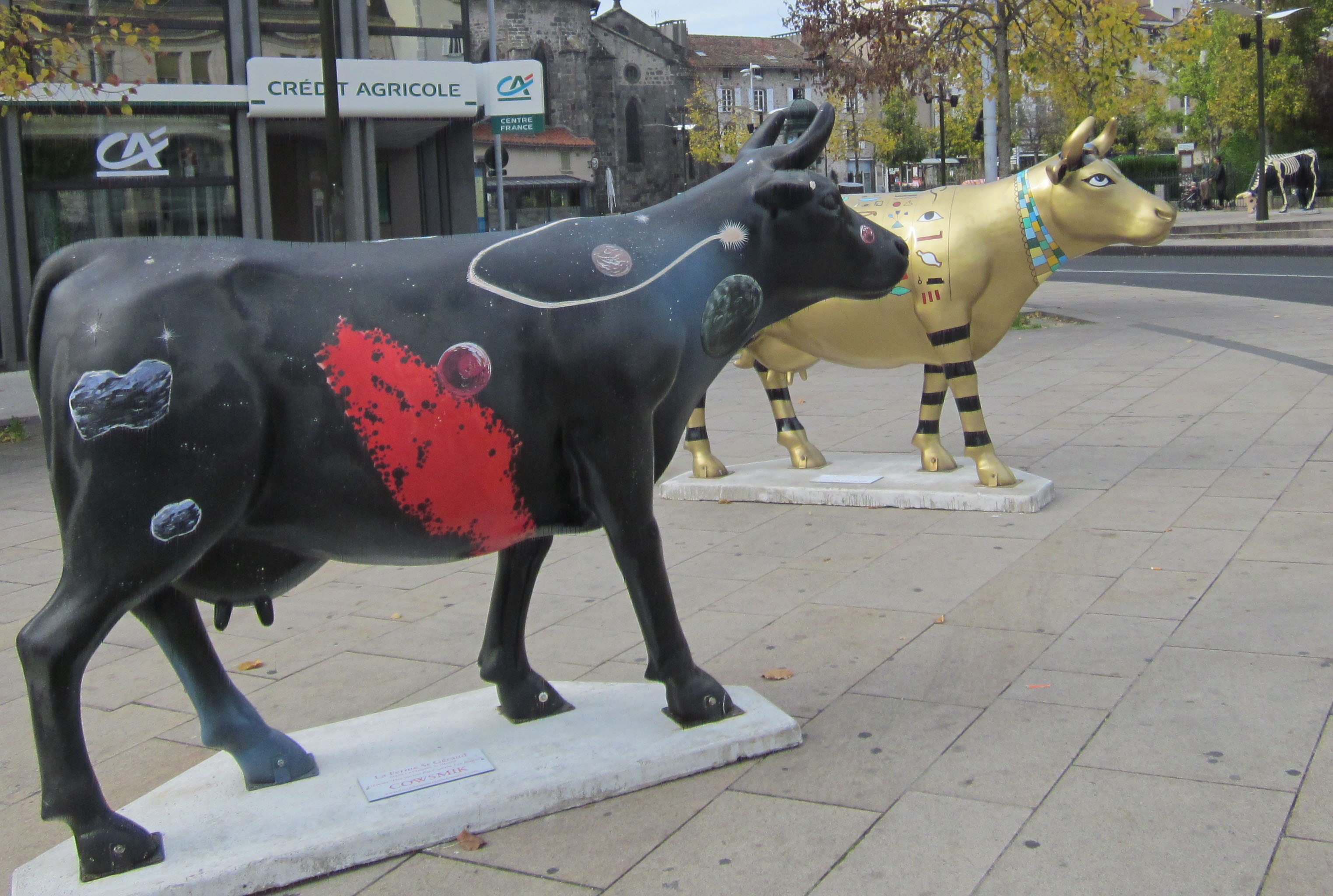 Vaches d'Aurillac Vaches d'Aurillac
