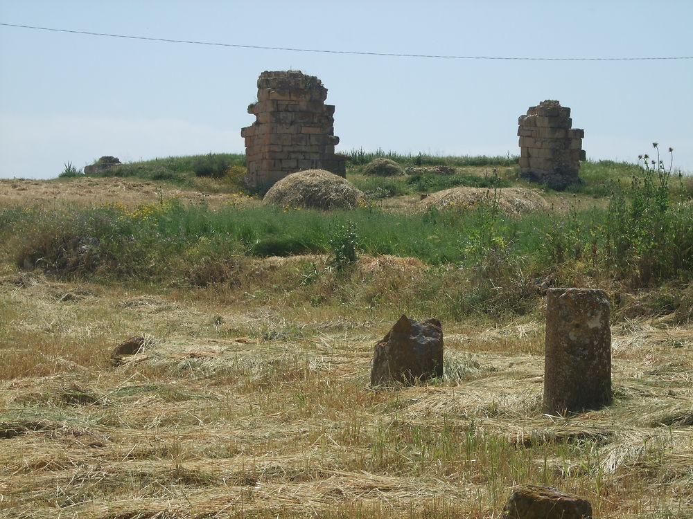 Lorbeuss près du Sers