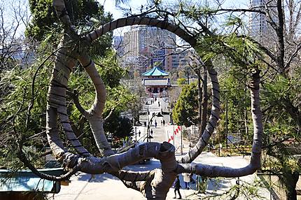 Le parc Ueno