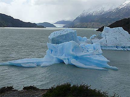 Lago Grey et son glacier