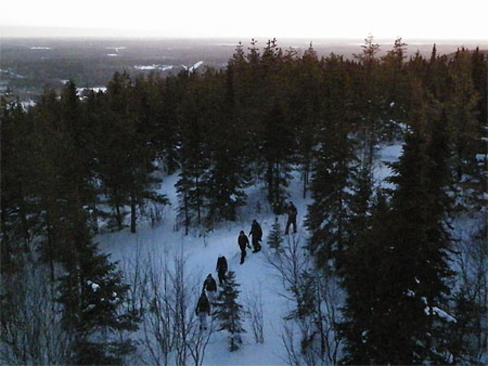 Randonnée hivernale