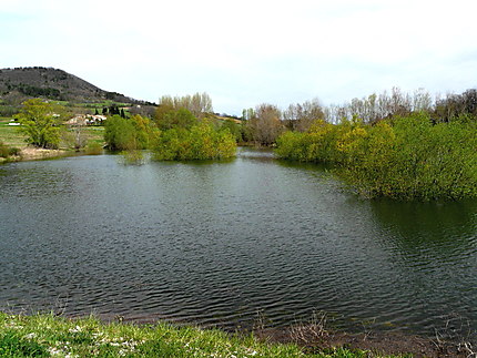 Lac de Montbel