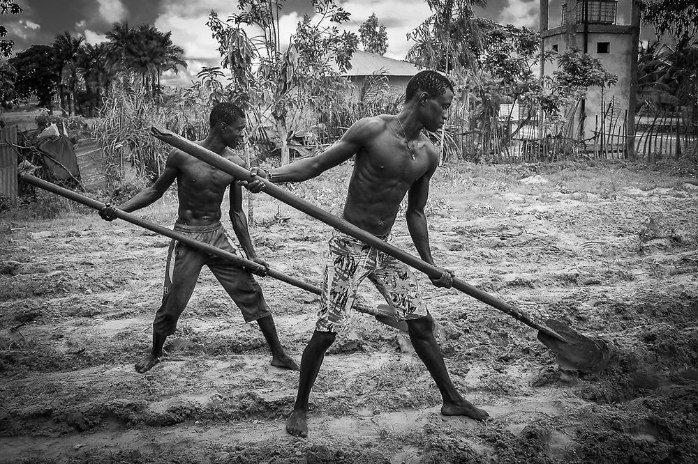 L'hivernage en Casamance et la culture du riz