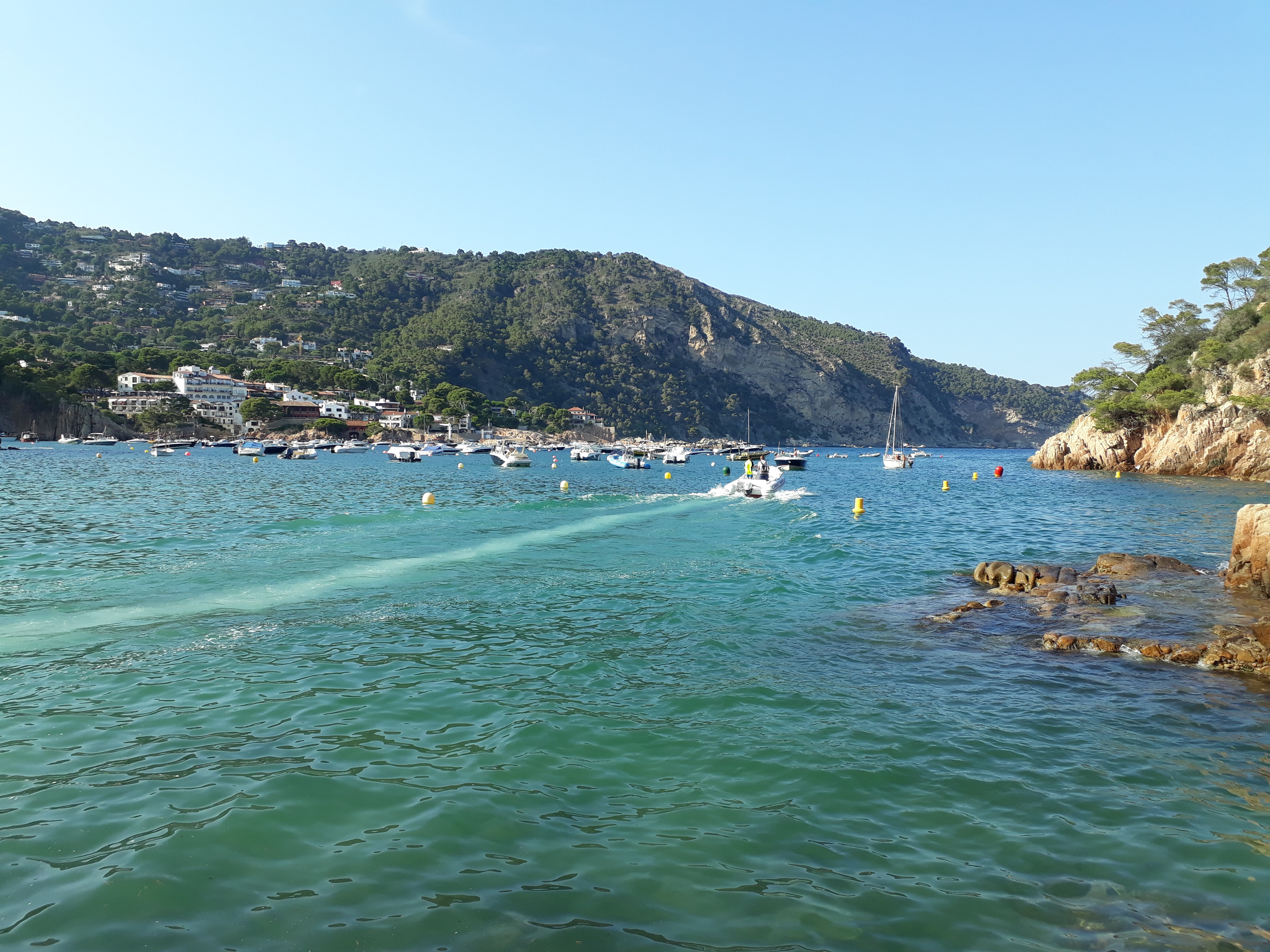 Cala catalana