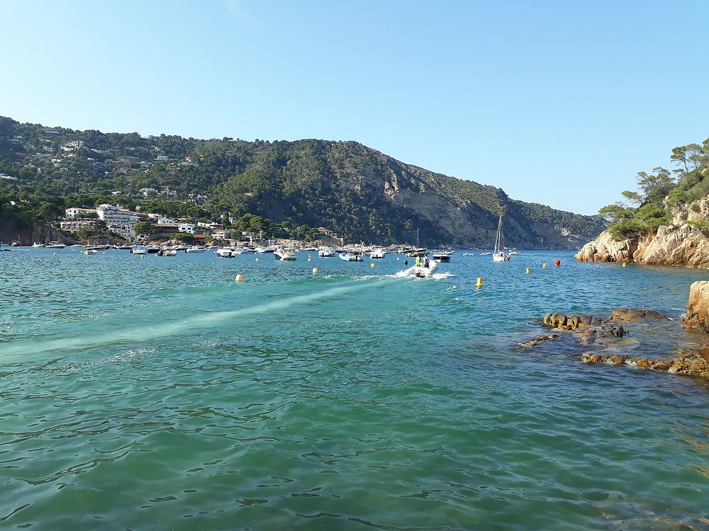 Cala catalana