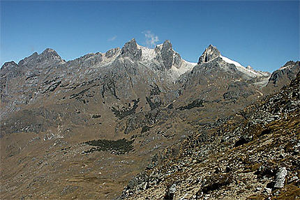 Paysage andin et bosquets de Polylepis