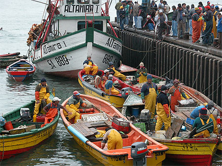 Retour de pêche à San Antonio Retour de pêche à San Antonio