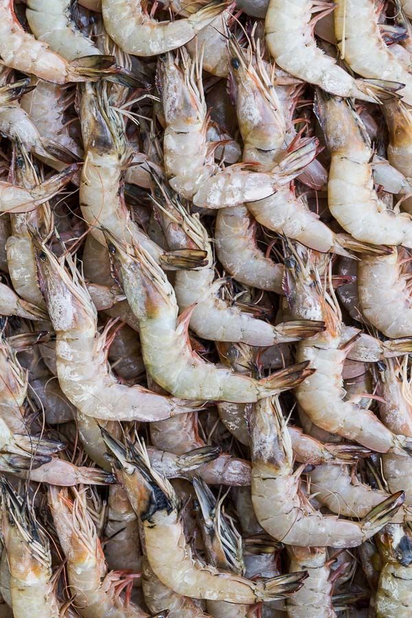 Marché aux poissons - Les crevettes