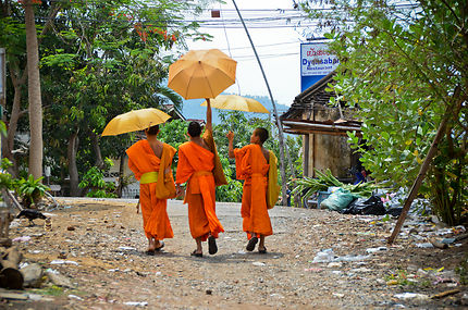 3 moines sous leur parapluie