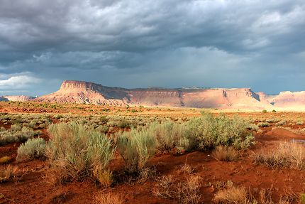 The Needles (Canyonlands)