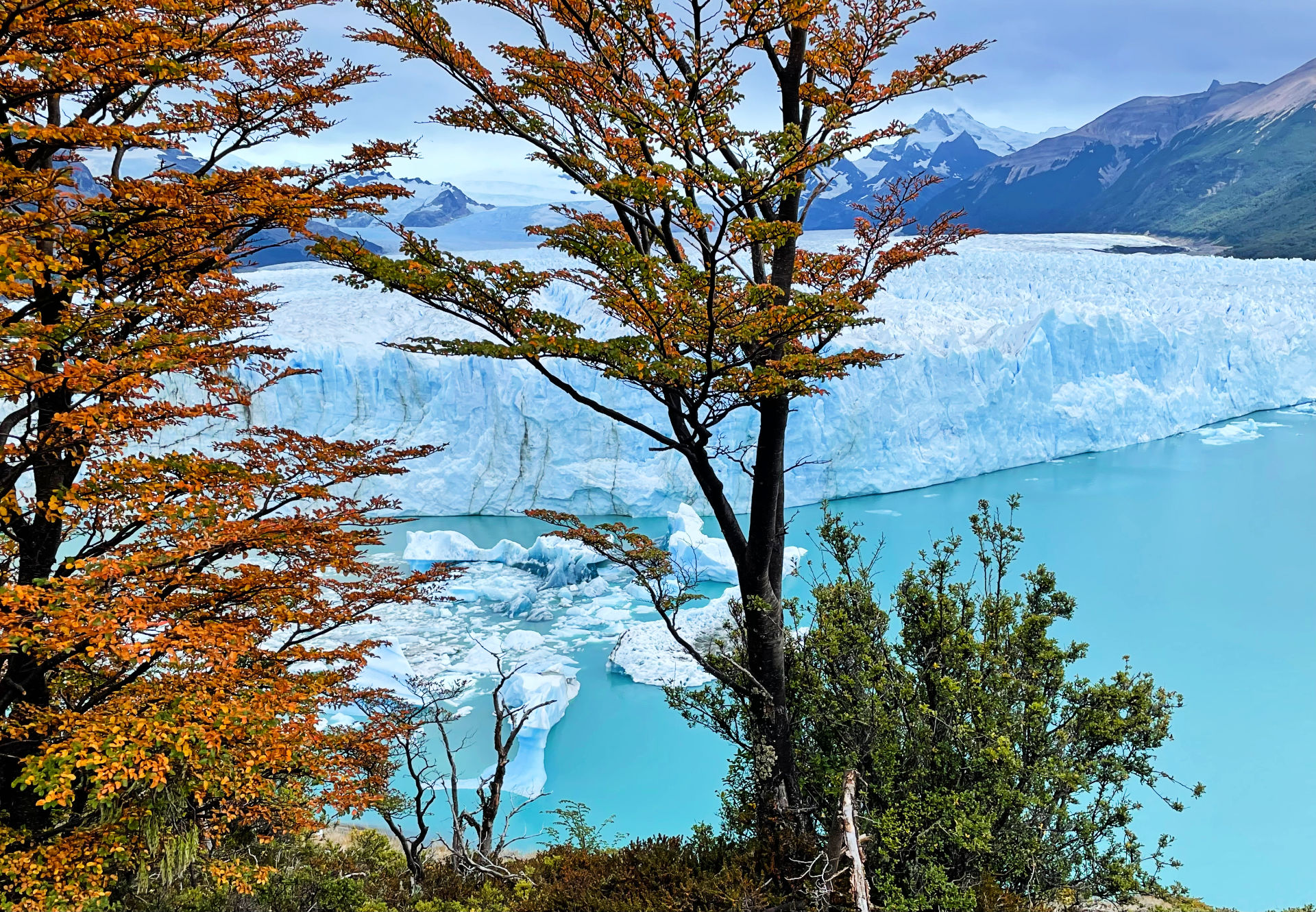 Argentine - Glacier Perito Moreno
