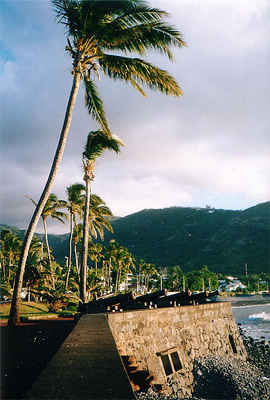 Canon sur le barachois Canon sur le barachois