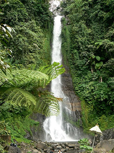 Chutes de Gitgit Chutes de Gitgit