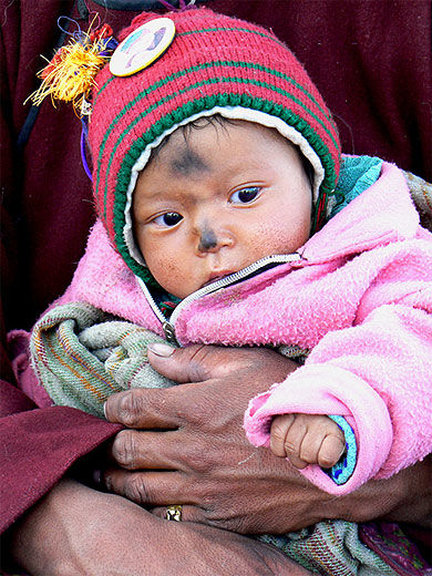 Bébé ladakhi