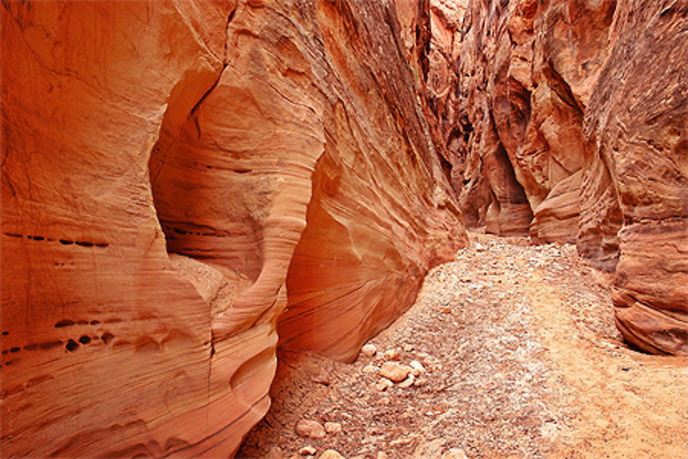 Le canyon de Buckskin Gulch