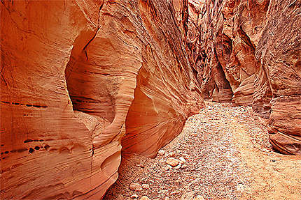 Le canyon de Buckskin Gulch
