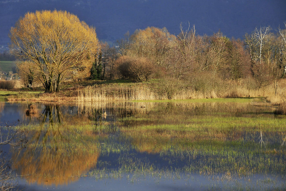 Lac en hiver