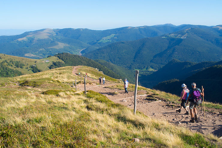 Balades, randonnées et autres activités dans les Vosges alsaciennes