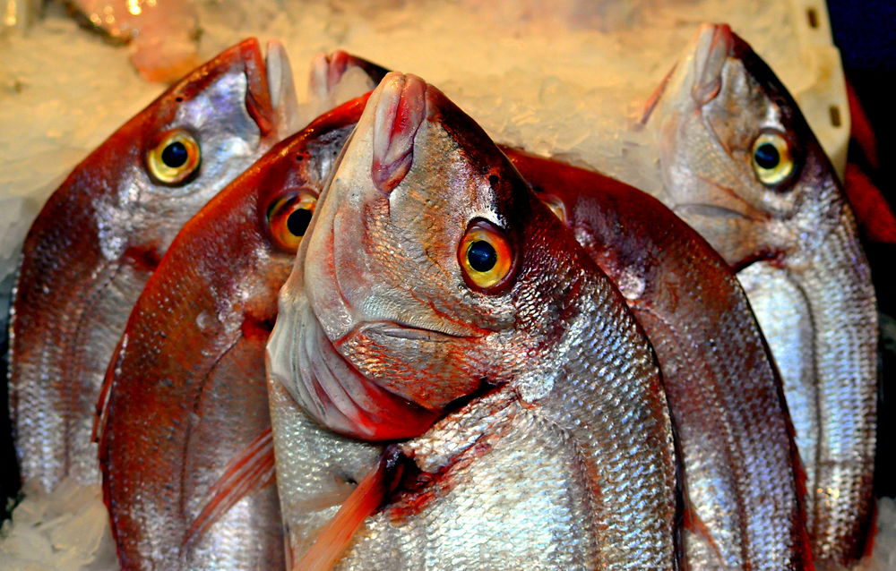 Au marché de poissons