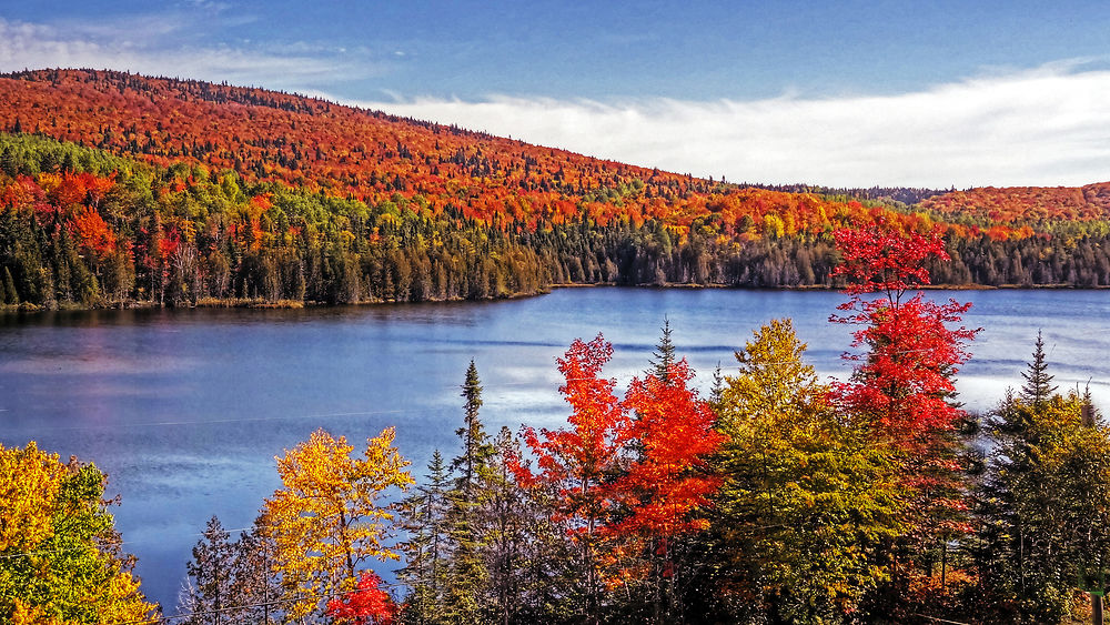 Environs de Rimouski