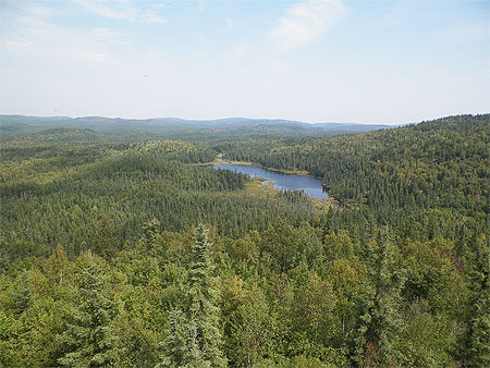 Forêt boréale, parc d'Aiguebelle Forêt boréale, parc d'Aiguebelle
