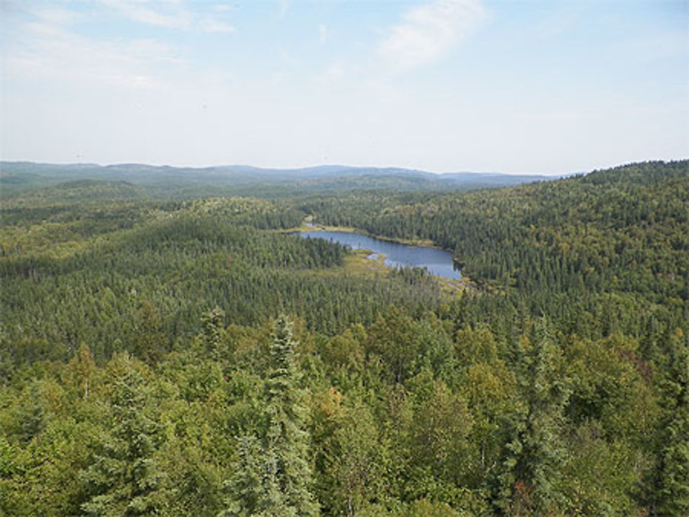 Forêt boréale, parc d'Aiguebelle