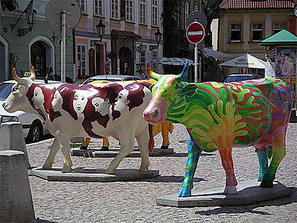 Lacher de vaches à Prague