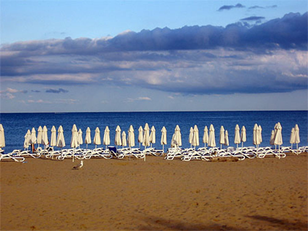 Plage à sunny beach