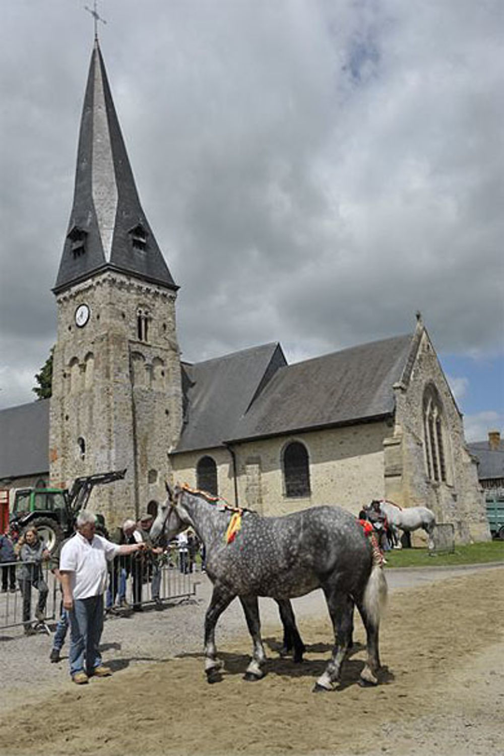 Foire aux Percherons