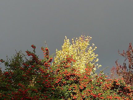 Soir d'orage en automne